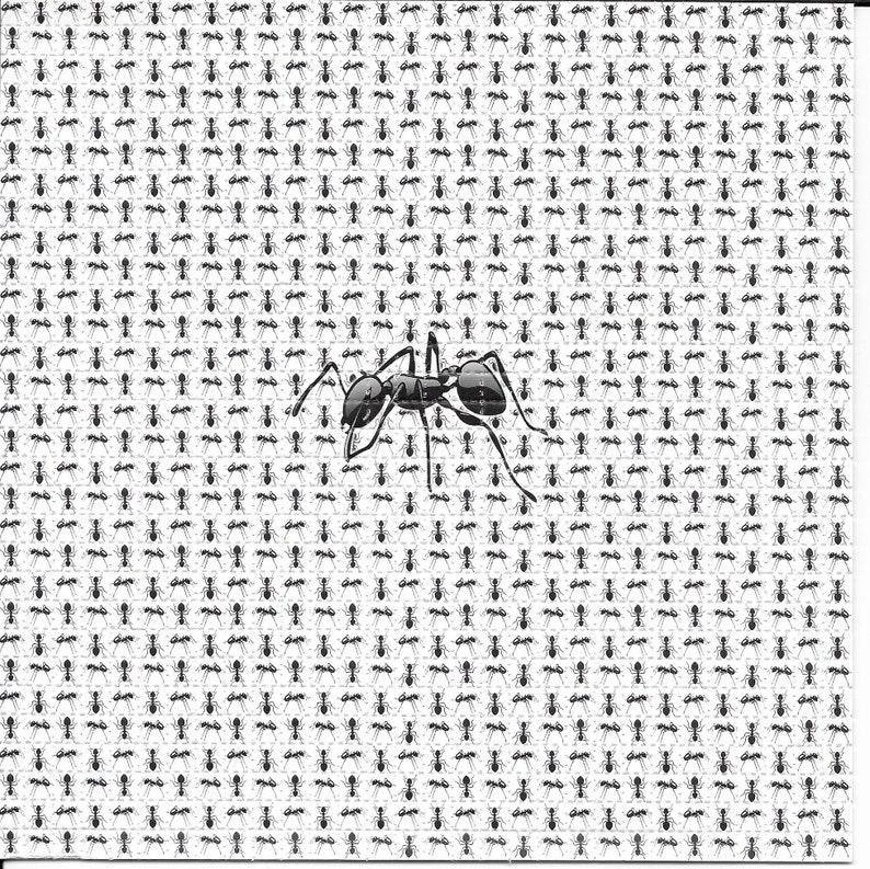 Ink Blotter Paper - Formiche Animale Psichedelico LSD Acido Libero