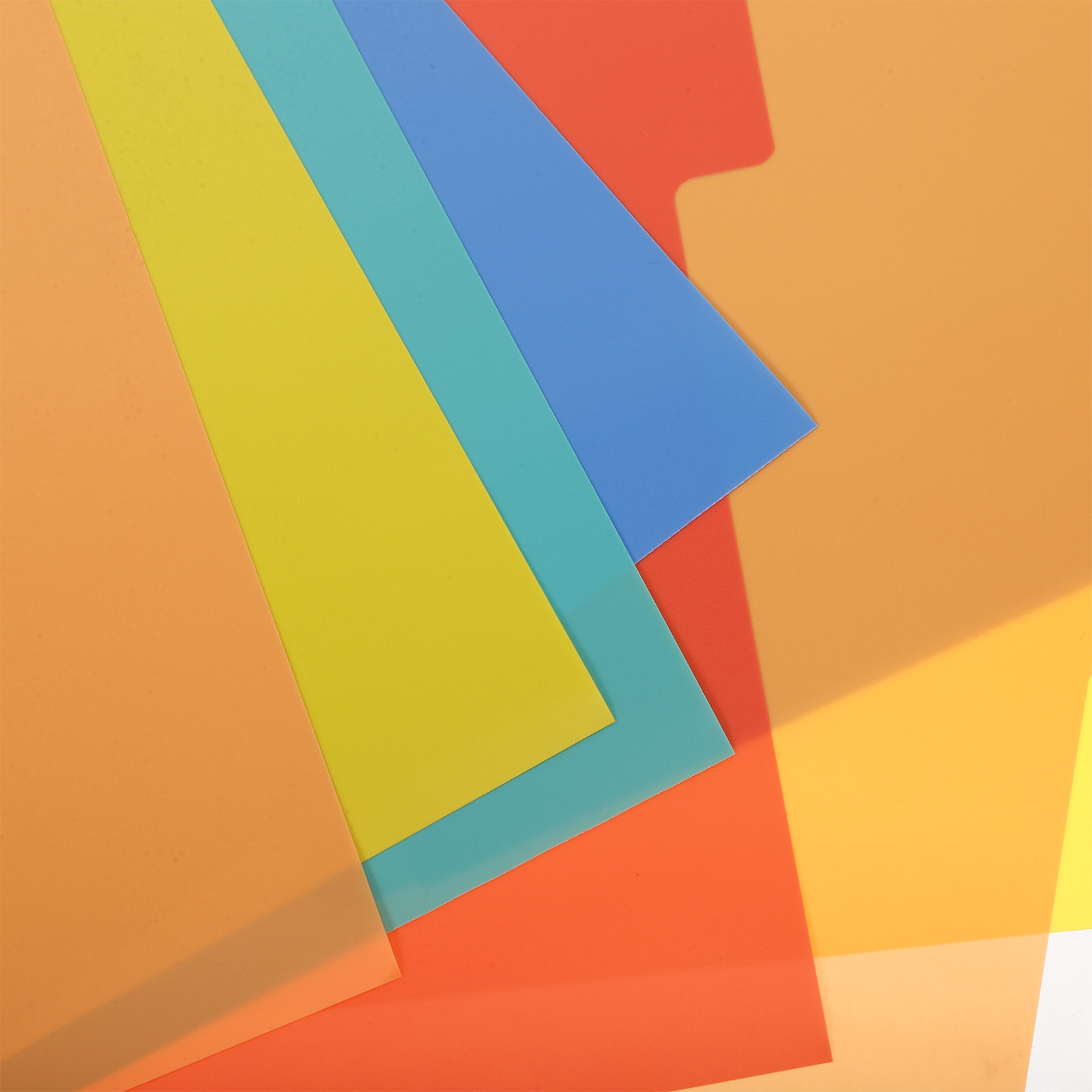 2 Set di Divisori per Raccogli - Tab Divider A4 recensione e prezzo